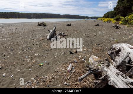 Caleta la Barra – der Punkt, an dem der Fluss Tolten in den pazifischen Ozean fließt, in Araucania, Chile Stockfoto