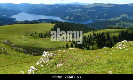 Der Blick von oben auf einen Fluss, der durch die grünen Hänge mit Bäumen fließt Stockfoto
