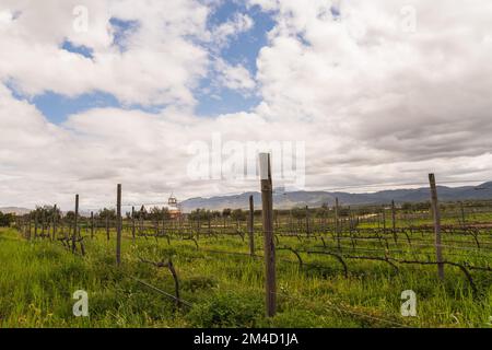 Landschaft der Weinregion Valle de Guadalupe in Mexiko Stockfoto