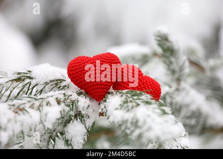 Zwei gestrickte Liebesherzen auf Tannenzweigen, die im Winterwald mit Schnee bedeckt sind. Konzept der Weihnachtsfeier oder des Valentinstages Stockfoto