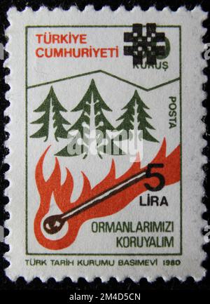 ISTANBUL, TÜRKEI - 26. DEZEMBER 2020: Türkischer Stempel zeigt Waldschutz um 1980 Stockfoto
