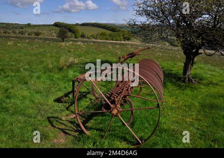 Heu rechen auf ein Feld in Exmoor zurückgezogen, umgerechnet von Pferden gezogenen am Traktor angetrieben. Exford, Somerset UK Stockfoto