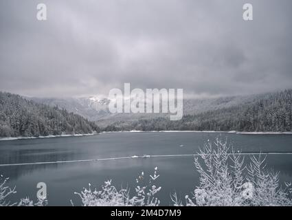 Verschneite Winterlandschaft im Capilano River Regional Park mit Blick auf den Cleveland Dam in North Vancouver, British Columbia, Kanada Stockfoto