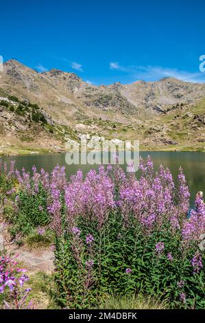 Panoramablick, Estany Primer, Ordino Arcalis, Andorra Stockfoto