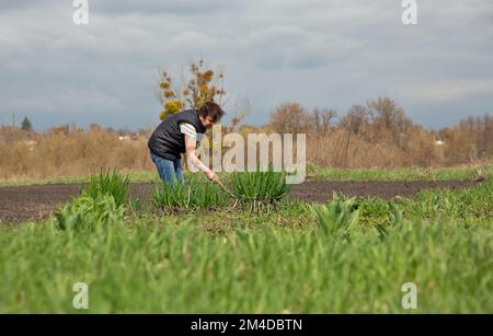 Weiße mittelalterliche Frau, die im Frühling im Garten arbeitet Stockfoto