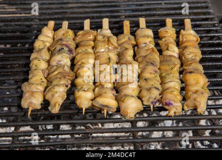 Gegrillte Rapana-Nahaufnahme auf Holzspießen im Freien Stockfoto