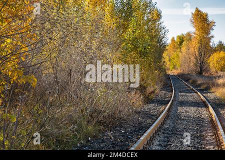 Landschaft mit Bahngleisen, die in den Herbstwald führen Stockfoto