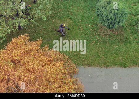 Arbeiter mäht das Gras mit einer Benzin-Motorsense in der Stadt, Draufsicht Stockfoto