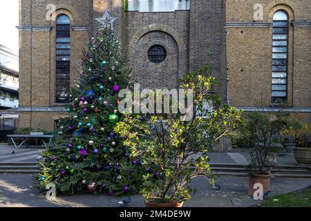 Weihnachtsbaum im Innenhof einer mittelalterlichen Kirche Stockfoto