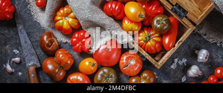 Viele verschiedene Arten, Formen und Größen von Tomaten in einer alten Holzkiste und auf einer dunklen Oberfläche, flach liegend, Draufsicht, Banner. Das Konzept der Ernte Stockfoto