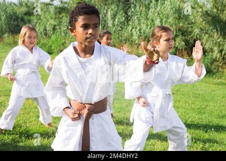 Ein afroamerikanischer Junge, der Taekwondo mit einer Gruppe im Park praktiziert Stockfoto