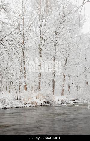 Frischer weißer Schneesturm im Herzen eines Winter im Mittleren Westen Stockfoto