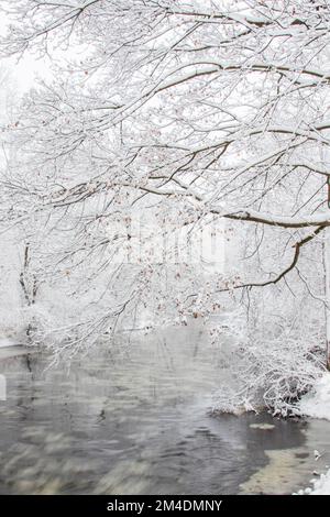 Frischer weißer Schneesturm im Herzen eines Winter im Mittleren Westen Stockfoto