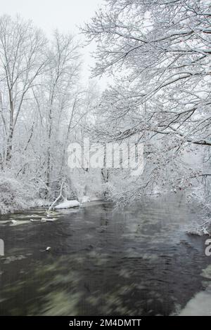 Frischer weißer Schneesturm im Herzen eines Winter im Mittleren Westen Stockfoto