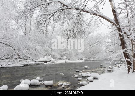 Frischer weißer Schneesturm im Herzen eines Winter im Mittleren Westen Stockfoto