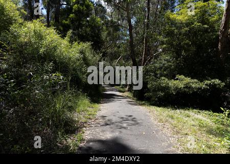 Belgrave ist eine Stadt und ein Vorort in Melbourne, Victoria, Australien Stockfoto