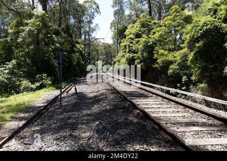 Belgrave ist eine Stadt und ein Vorort in Melbourne, Victoria, Australien Stockfoto