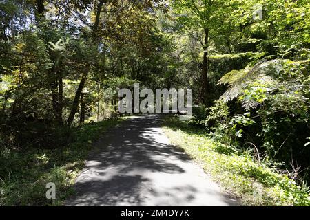 Belgrave ist eine Stadt und ein Vorort in Melbourne, Victoria, Australien Stockfoto