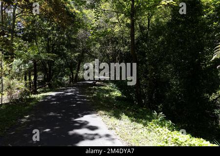 Belgrave ist eine Stadt und ein Vorort in Melbourne, Victoria, Australien Stockfoto