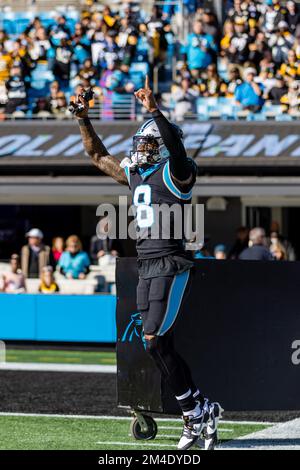 Charlotte, NC, USA. 18.. Dezember 2022. Carolina Panthers Cornerback Jaycee Horn (8) läuft für den NFL-Kampf gegen die Pittsburgh Steelers in Charlotte, NC aus. (Scott Kinser/Cal Sport Media). Kredit: csm/Alamy Live News Stockfoto