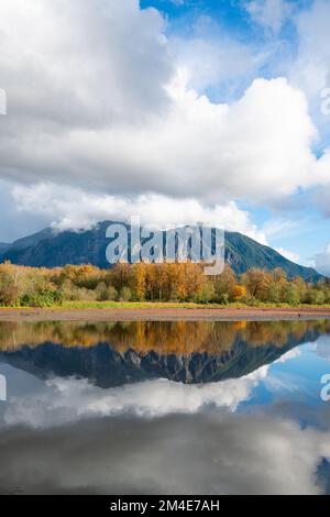 Borst Lake Mill Pond in Snoqualmie mit Reflektion des Mount Si und Herbstfarbe unter majestätischen weißen Wolken Stockfoto