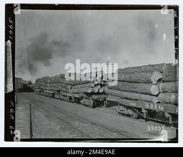 Holztransport: Holzfällereisenbahn. Fotografien zu National Forests, Resource Management Practices, Personal sowie Kultur- und Wirtschaftsgeschichte Stockfoto