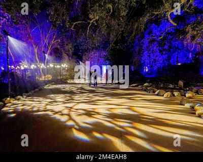 Los Angeles, Kalifornien, USA 19.. Dezember 2022. Enchanted Forest of Light ist ein magisches, verkörpertes, interaktives abendliches Erlebnis in La Canada Flintridge, Los Angeles, mit einem 1,5 km langen Spaziergang durch einzigartige Lichterlebnisse in einigen der beliebtesten Gegenden von Descanso Gardens: Der ganze Wald wird beleuchtet wie ein Weihnachtsbaum oder eine Menorah und ist ab dem 20. November geöffnet. 8 Uhr (geschlossen am 24. November, 24. Und 25. Dezember), geöffnet 5:30''„10pm. Eintrittszeiten: 5:30pm, 6pm:30pm, 6:30pm, 7pm:7, 8pm & 8:30pm. Tickets: 22 $''$28 $ für Mitglieder von Descanso Gardens, 34 $''$40 $ für Nichtmitglieder. (Kreditbild: © Amy Katz/ZU Stockfoto