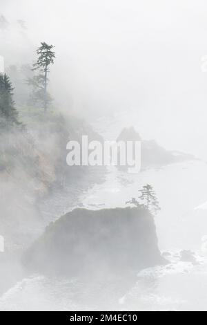 Der Nebel verdeckt die Küste Oregons mit Felsen und Tannen am Rand des Pazifiks Stockfoto