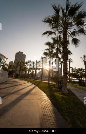 Sonnenuntergang auf der Straße einer Stadt, die mit Palmen dekoriert ist, und in den Hintergrundgebäuden, moderner Architektur und Landschaft mit Tapeten Stockfoto