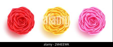 Blumen als Vektorhintergrund. Kollektion mit Rosen- und Kamelienblumen isoliert auf weißem Hintergrund für Frauen- und Muttertag international. Stock Vektor