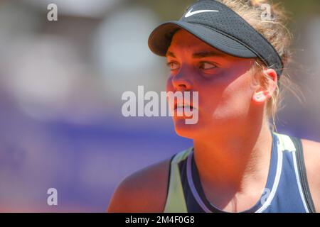 Sara Bejlek (Republik Cezch). Argentinien Open WTA 2022 Stockfoto