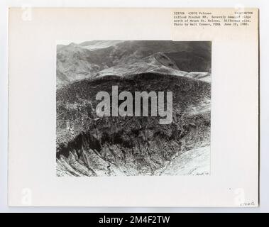 Vulkane - Nach Mount St. Helens Eruption - Washington. Fotografien zu National Forests, Resource Management Practices, Personal sowie Kultur- und Wirtschaftsgeschichte Stockfoto