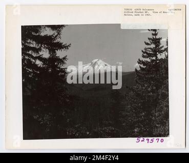 Vulkane - Nach Mount St. Helens Eruption - Washington. Fotografien zu National Forests, Resource Management Practices, Personal sowie Kultur- und Wirtschaftsgeschichte Stockfoto