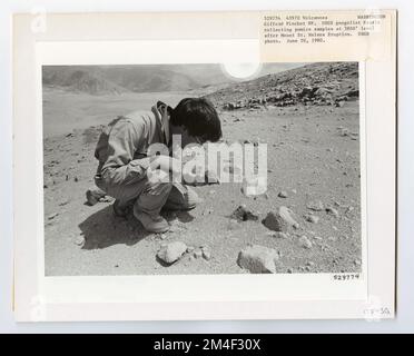 Vulkane - Nach Mount St. Helens Eruption - Washington. Fotografien zu National Forests, Resource Management Practices, Personal sowie Kultur- und Wirtschaftsgeschichte Stockfoto