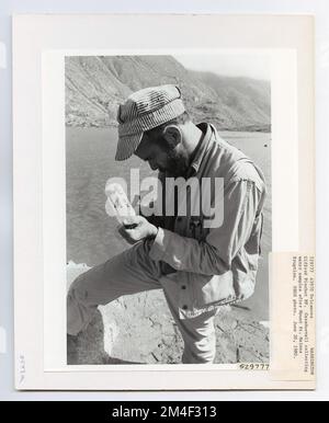 Vulkane - Nach Mount St. Helens Eruption - Washington. Fotografien zu National Forests, Resource Management Practices, Personal sowie Kultur- und Wirtschaftsgeschichte Stockfoto