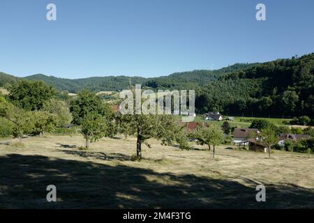 Ein Dorf am Fuße des Schwarzwalds Stockfoto