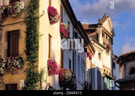 Asolo: Farbenfrohe Blumen schmücken alte Gebäude kurz vor Sonnenuntergang auf der Piazza Garibaldi und Via Browning Street, Asolo, Treviso, Veneto, Italien Stockfoto