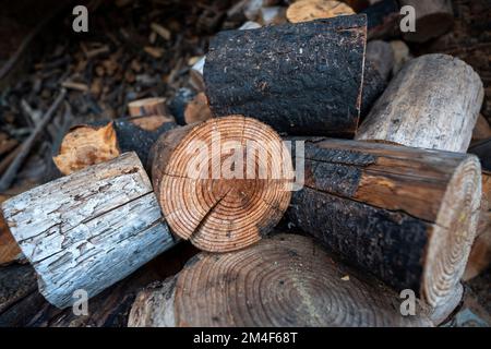 Brennholz Stockfoto