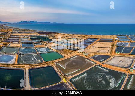 Luftaufnahme der Garnelenfarm mit Belüftungspumpe vor Ninh Phuoc, Ninh Thuan, Vietnam. Das wachsende Aquakulturunternehmen ist ständig bedroht Stockfoto