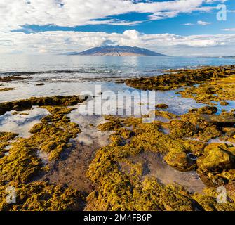 Sonnenuntergang am exponierten Lava Reef von Oneuli Beach, Makena State Park, Maui, Hawaii, USA Stockfoto