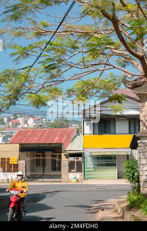 Da Lat, Vietnam - 31. Oktober 2022 : Altstadtstraße, farbenfrohes Haus und grüner Baum Stockfoto