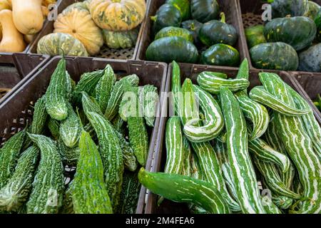 Gemüse auf dem traditionellen lokalen omanischen Markt. Stockfoto