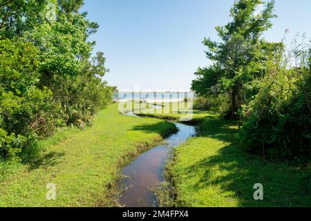 Kleiner Fluss mit grünem Ufer, der zum Salzwasser an der Bucht in Navarre, Florida, führt. Kleiner Fluss mit Süßwasser, das sich durch die Wiese schlängelt Stockfoto