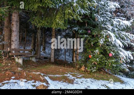 Parkbank an Waldrand mit Blick auf Weihnachten im Wald: Weihnachtskugeln als Weihnachtsschmuck an Bäumen und Sträuchern, Kugeln und Sterne, farbig Stockfoto