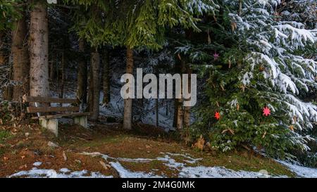 Parkbank an Waldrand mit Blick auf Weihnachten im Wald: Weihnachtskugeln als Weihnachtsschmuck an Bäumen und Sträuchern, Kugeln und Sterne, farbig Stockfoto