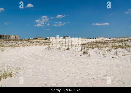 Off-Road-Pfad zwischen weißen Sanddünen mit Gräsern am klaren Himmel in Destin, Florida. Pfad auf weißem Sand mit Radspuren Richtung Stockfoto