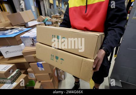 21. Dezember 2022, Mecklenburg-Vorpommern, Groß Schwaß: An der DHL-Lieferstelle werden die Pakete auf die Lieferfahrzeuge verteilt. An normalen Tagen werden bis zu 6.000 Pakete pro Tag abgewickelt; vor Weihnachten werden bis zu 9.000 Pakete abgewickelt. Foto: Bernd Wüstneck/dpa Stockfoto