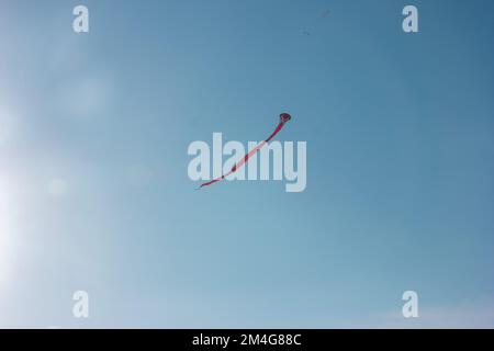 Roter Drachen fliegt am blauen Himmel, langer Drachen am Himmel, Freiheitskonzept, Blick von unten Stockfoto