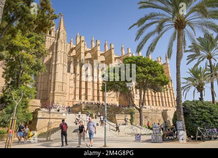 Südansicht der Kathedrale, Catedral de Palma de Mallorca, Palma, Mallorca, Spanien Stockfoto