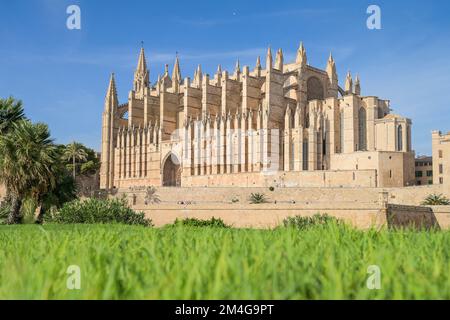 Südansicht der Kathedrale, Catedral de Palma de Mallorca, Palma, Mallorca, Spanien Stockfoto